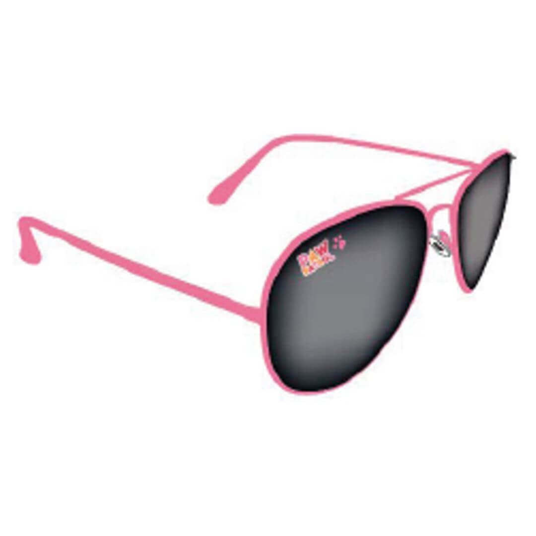 Paw Patrol Girls Metal Aviator