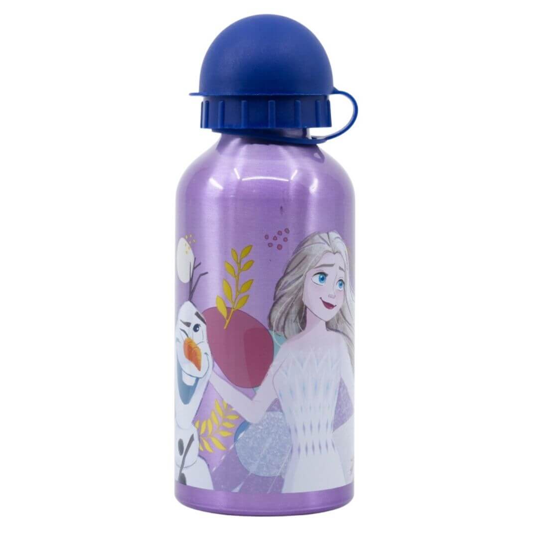 STOR Frozen Aluminium Bottle 400ml