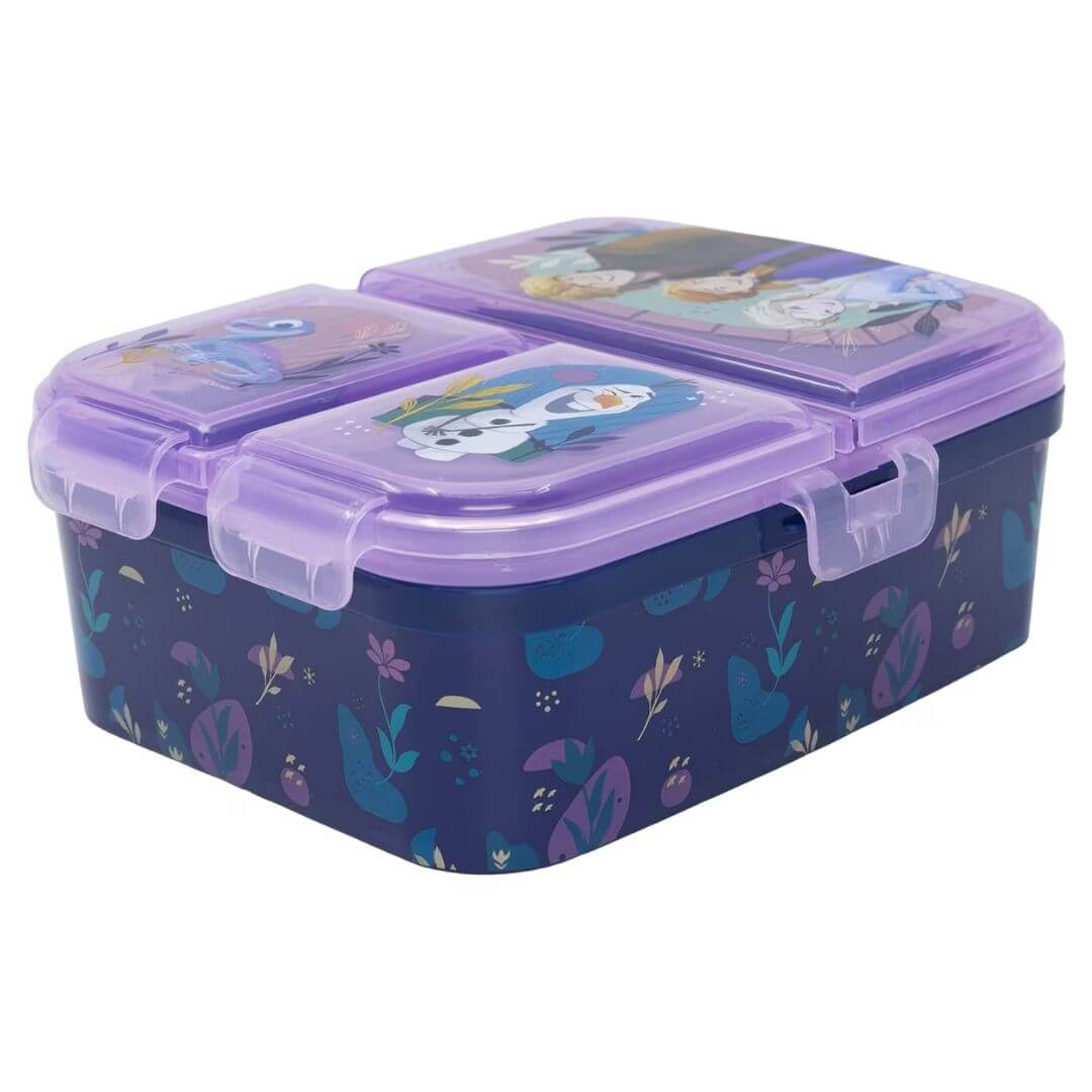 STOR Frozen XL Multi Compartment Sandwich Box