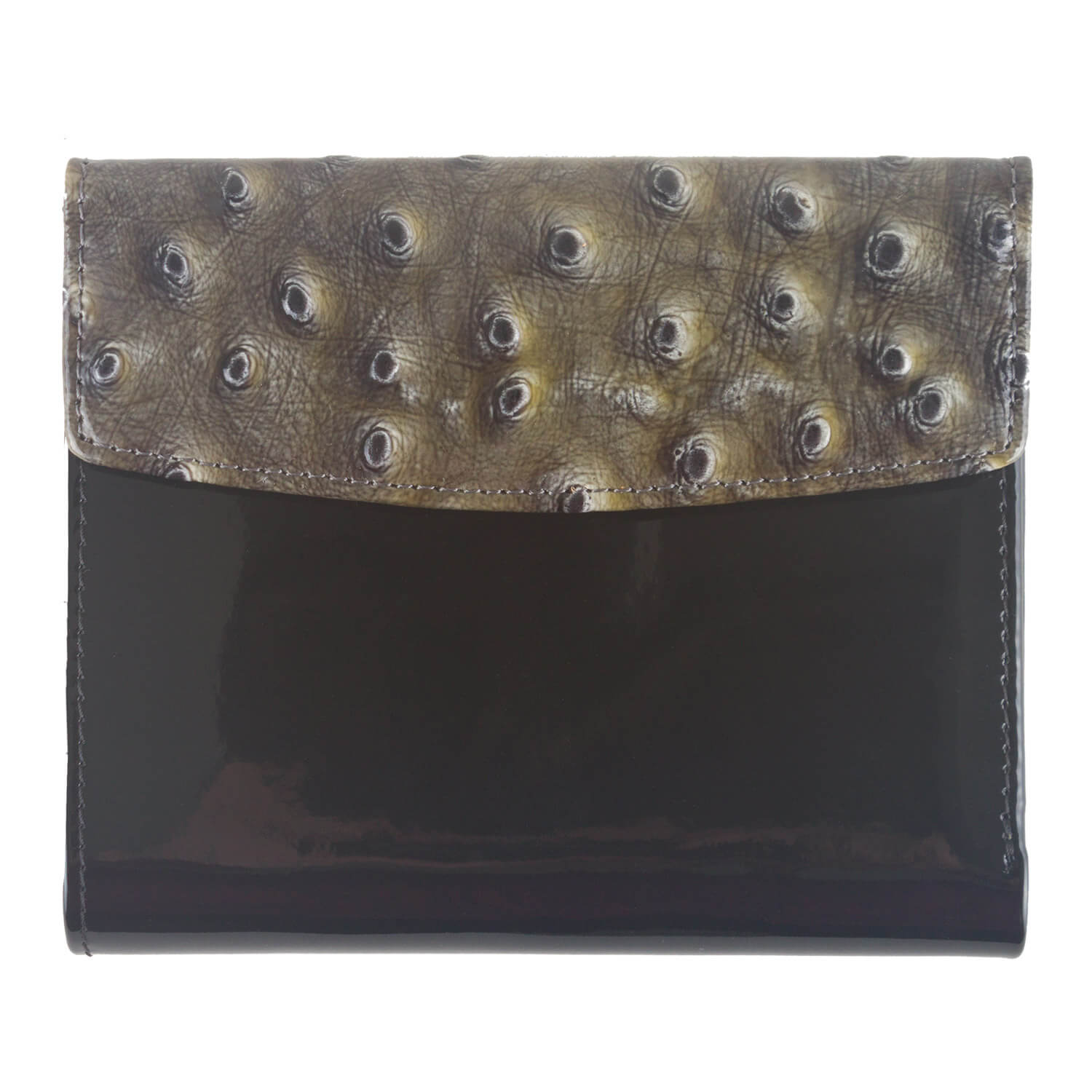 Patent Ostrich Purse